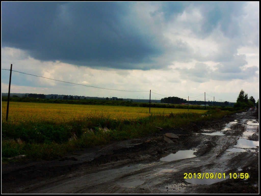 SDC12249.jpg