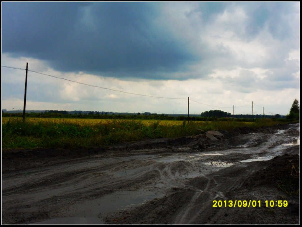 SDC12250.jpg