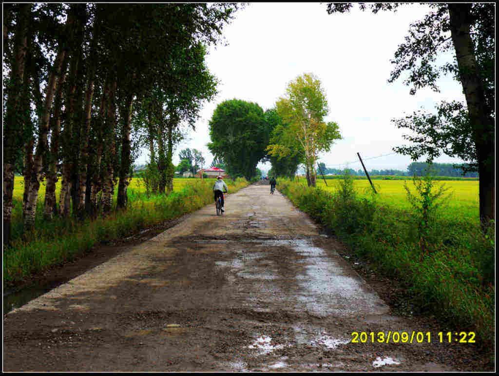 SDC12302.jpg