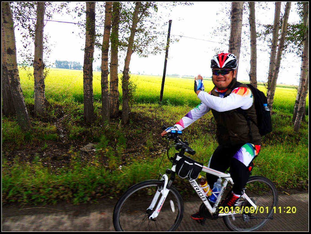 SDC12291.jpg