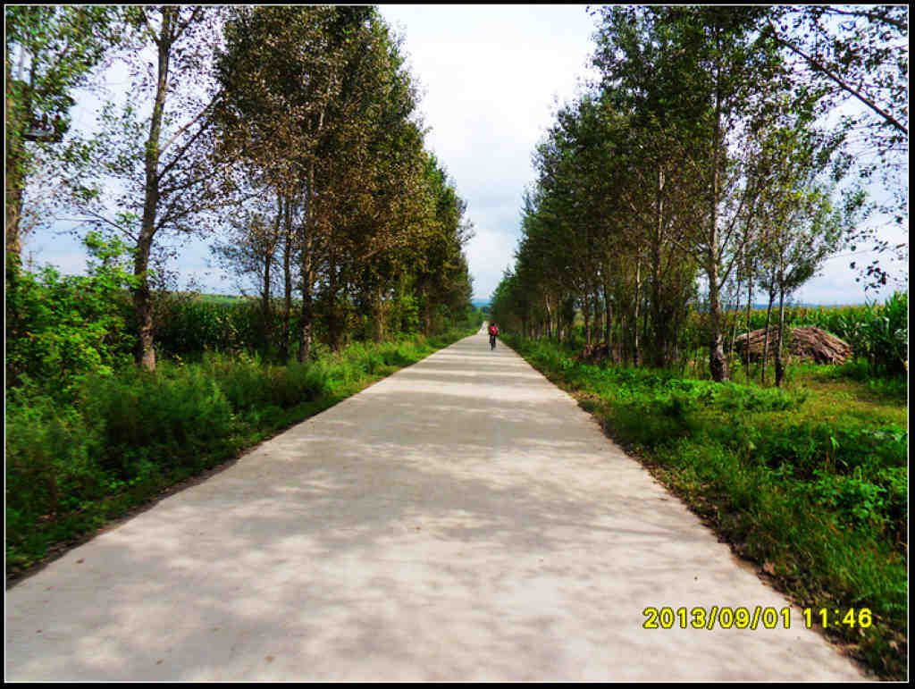 SDC12321.jpg