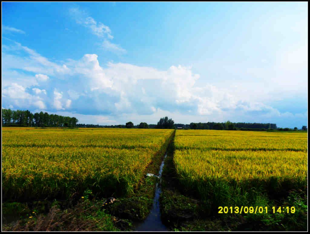 SDC12478.jpg
