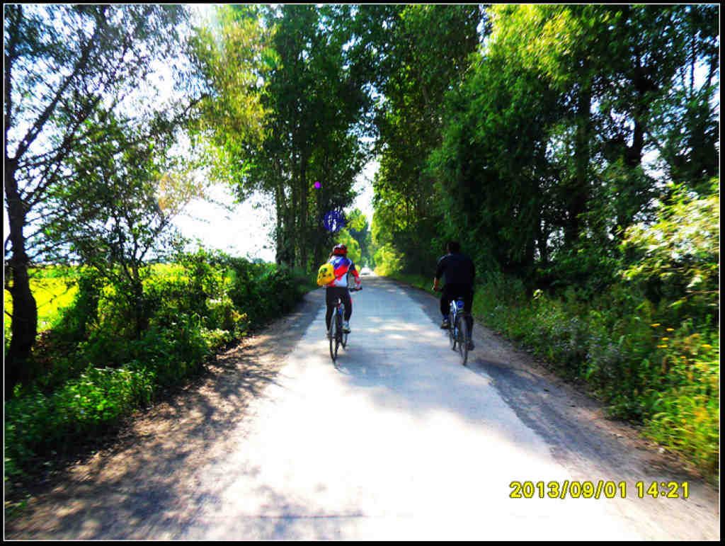SDC12483.jpg