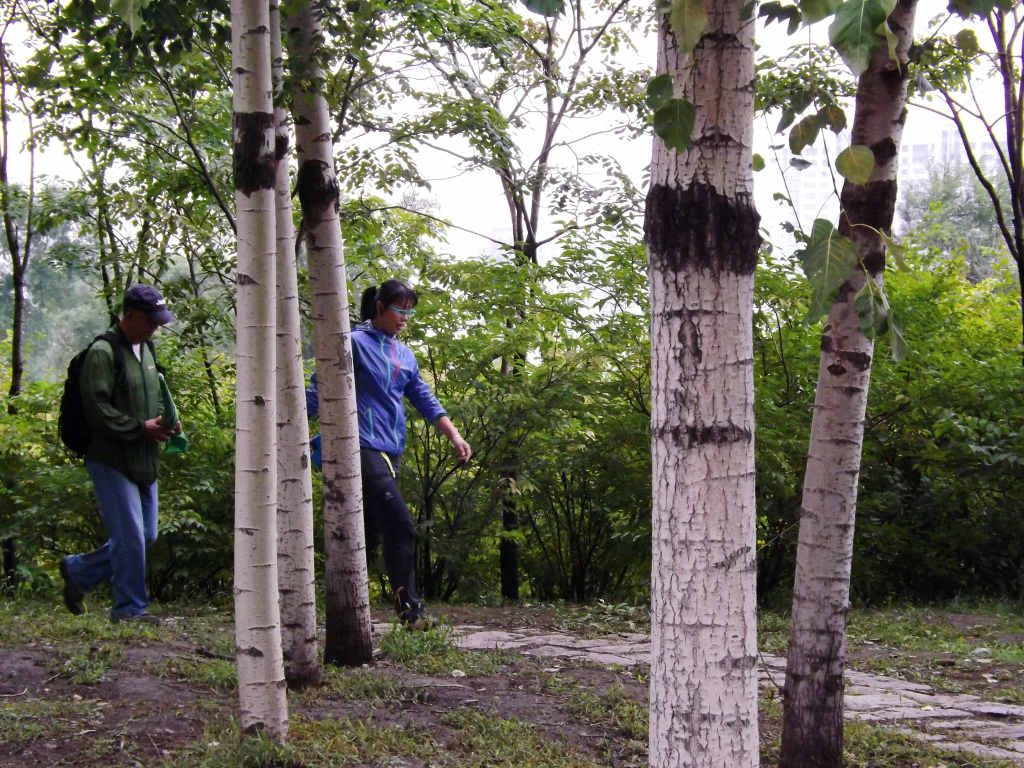 DSCF4578.JPG