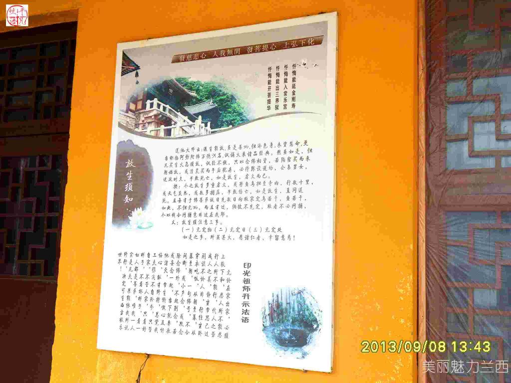 SDC12316.jpg