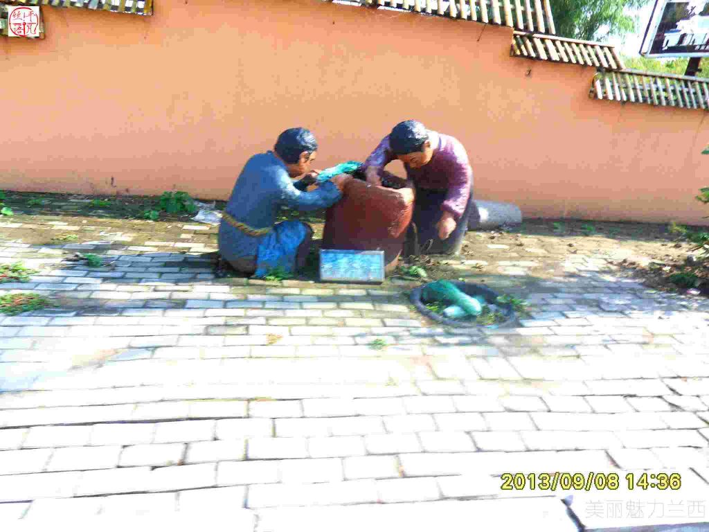 SDC12401.jpg