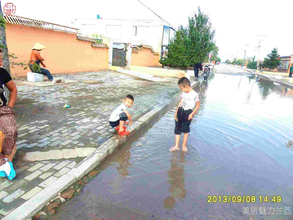SDC12433.jpg