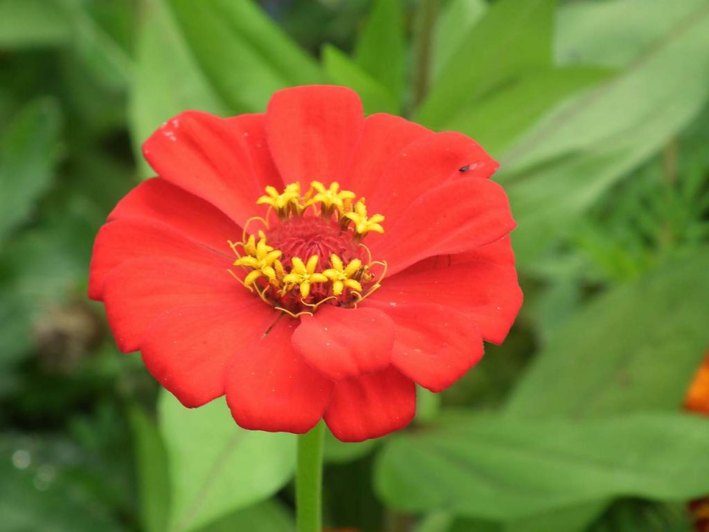 DSCF2338.JPG