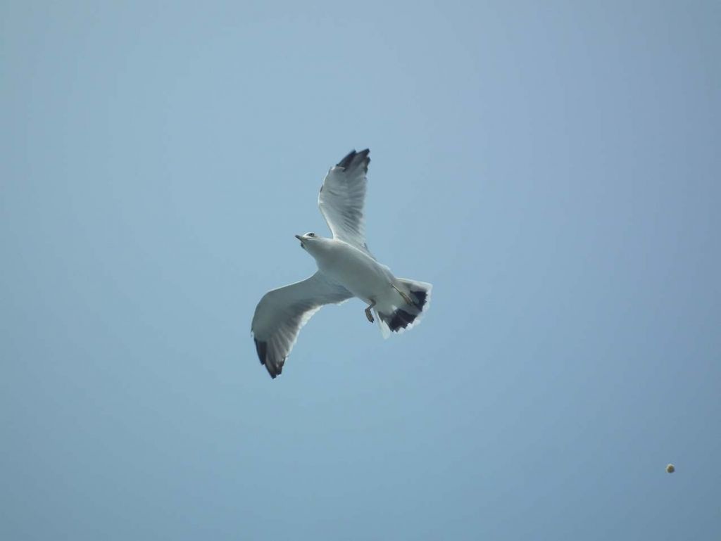 DSCF1125.JPG