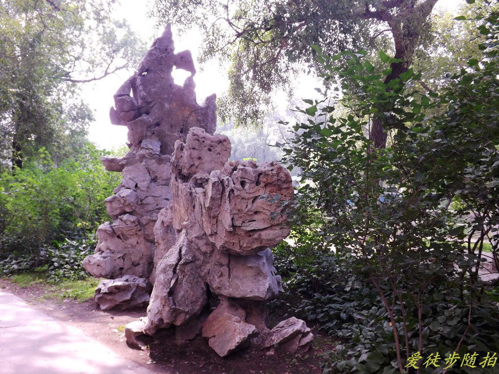 DSCF3092.jpg