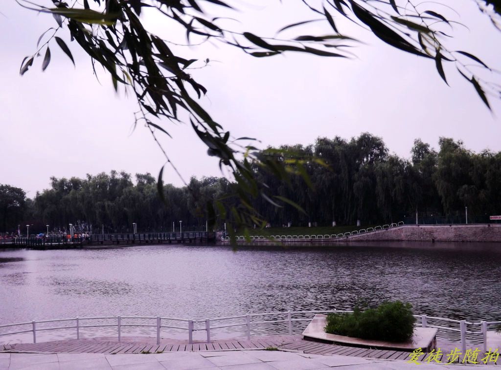 DSCF3106.jpg