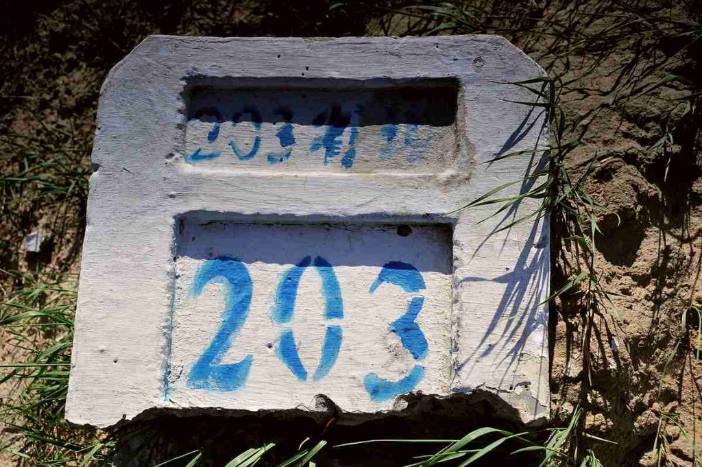 184.jpg