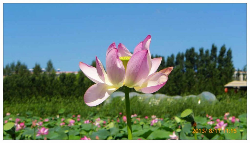 QQͼƬ20130822112728.jpg