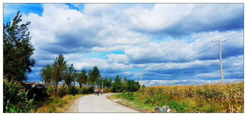 SDC12637.jpg