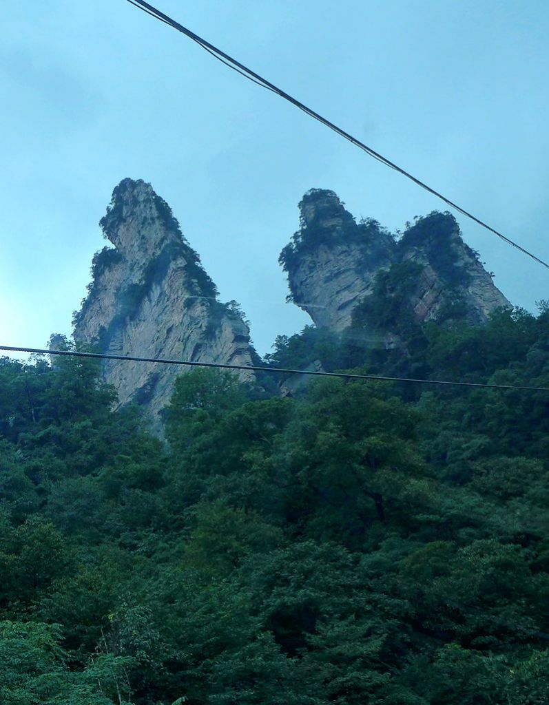 P1000625.JPG