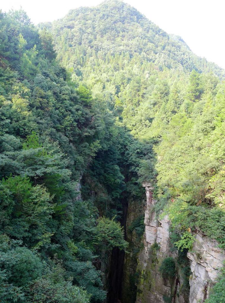 P1000773.JPG