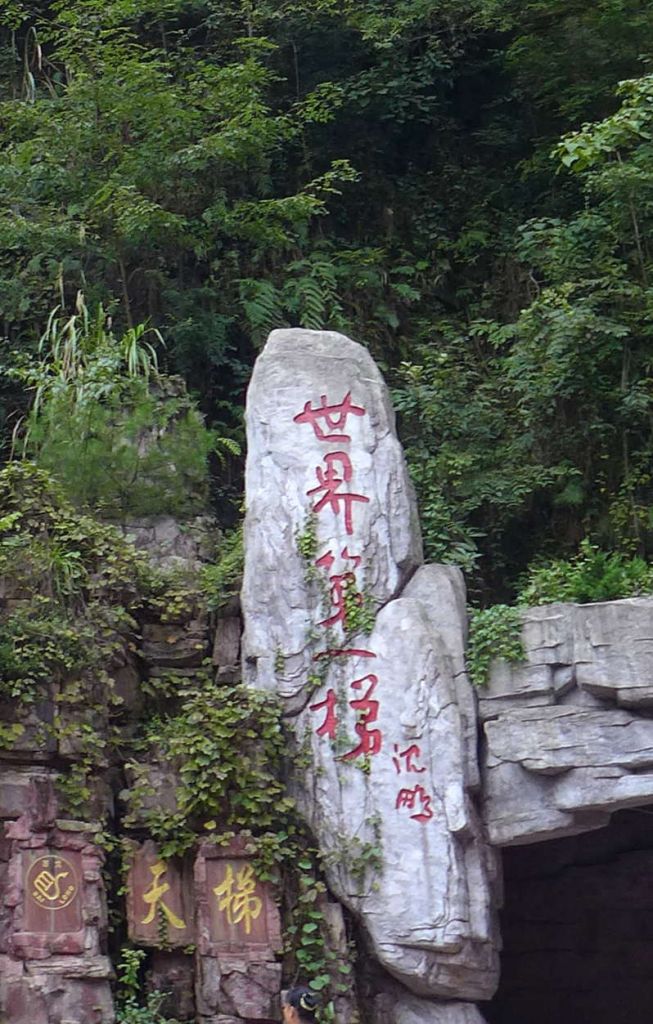 P1000809.JPG
