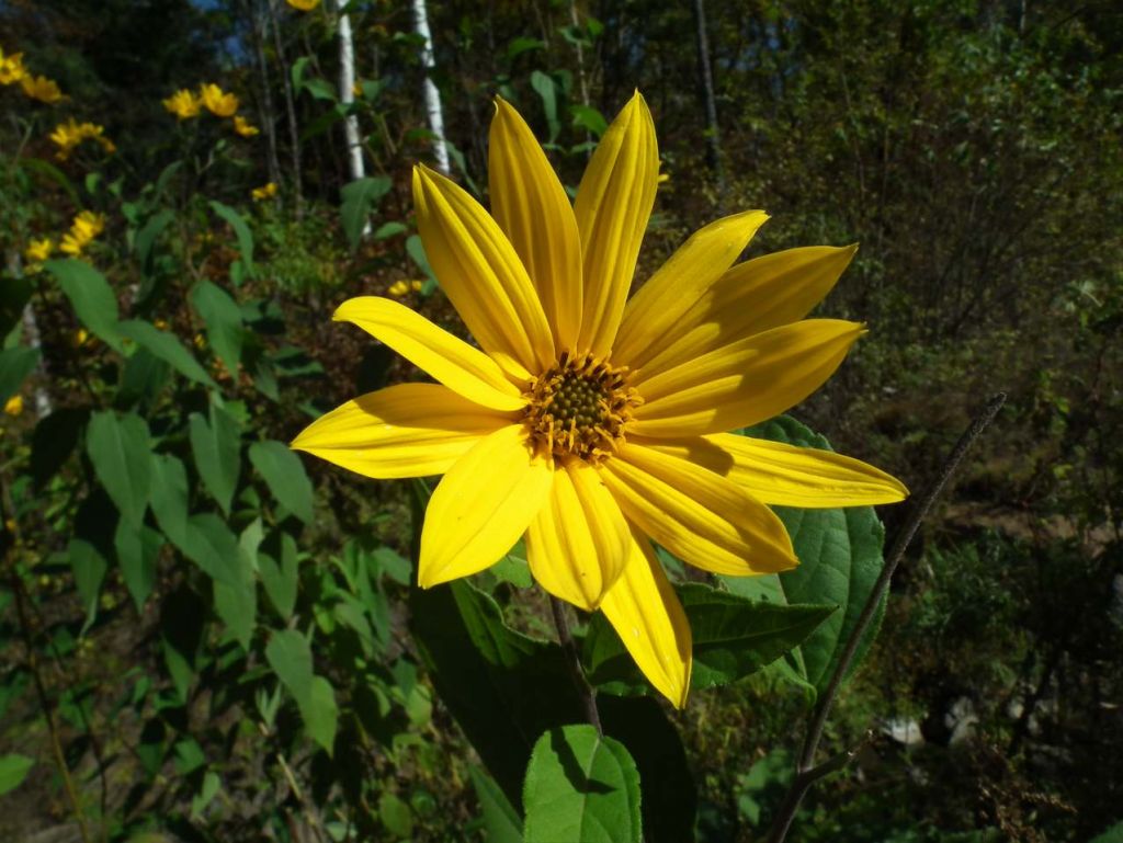 DSCF5564.JPG