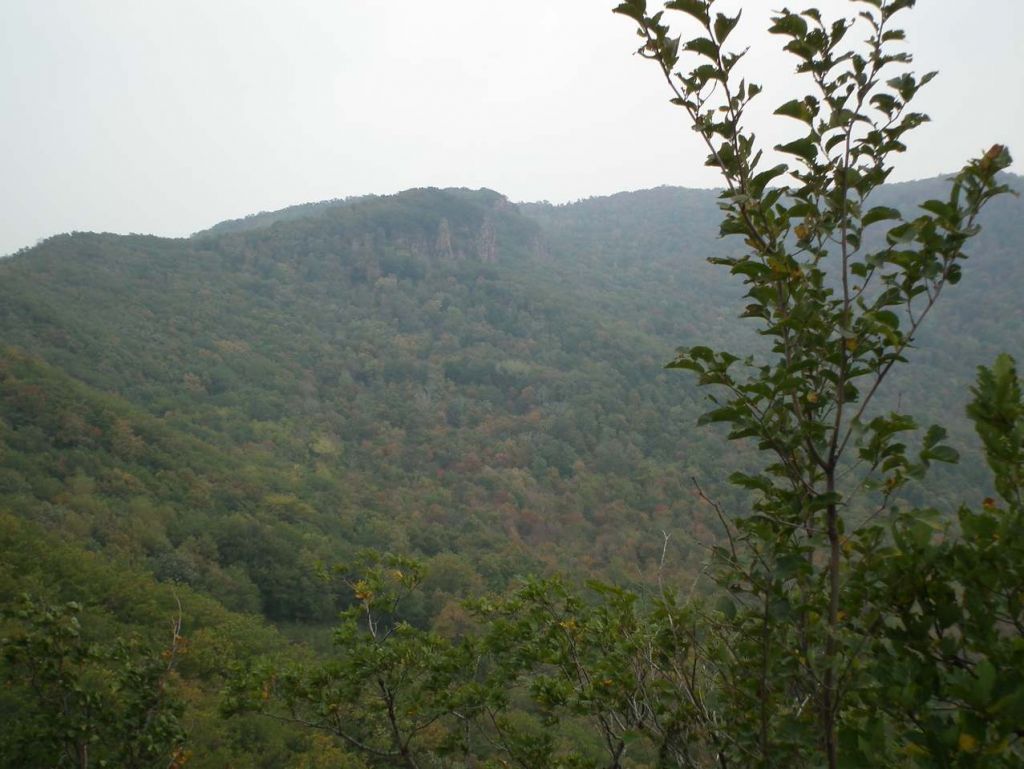 DSCF6380.JPG