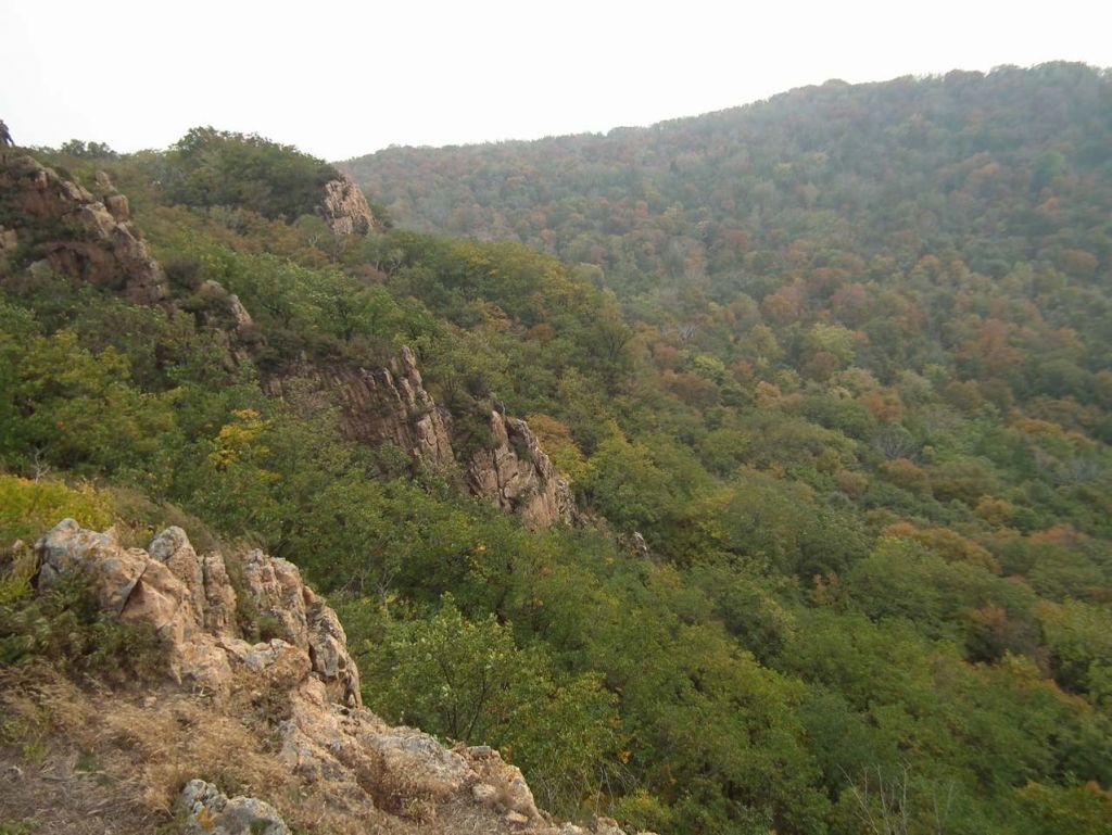 DSCF6481.JPG