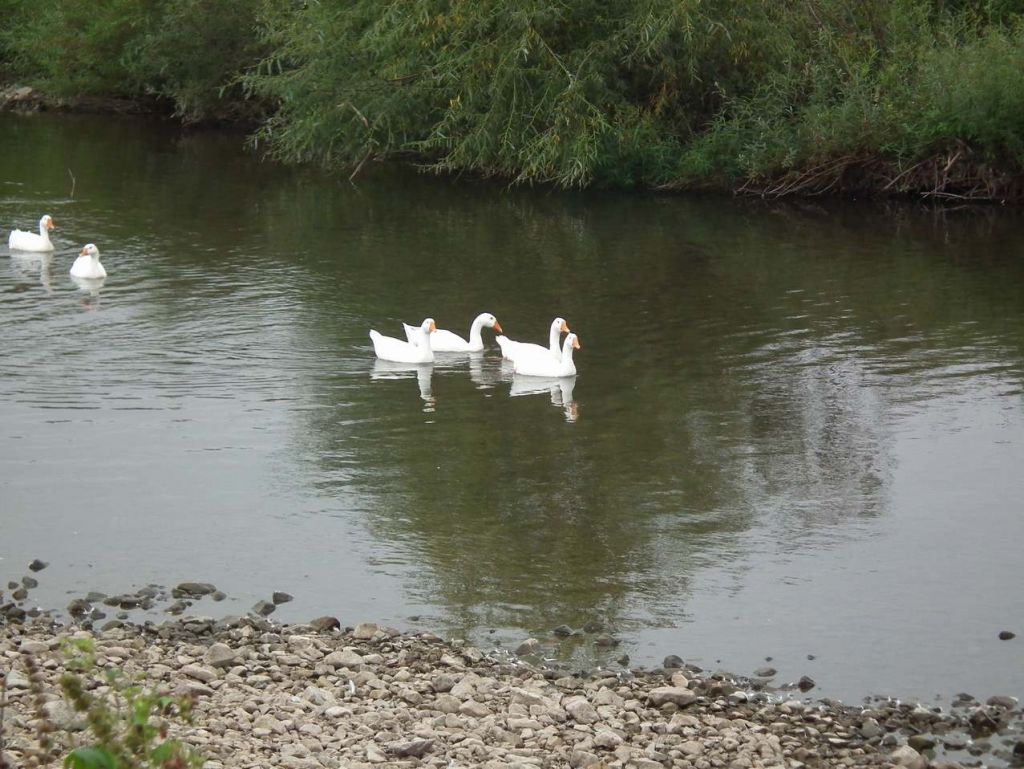 DSCF3353.JPG