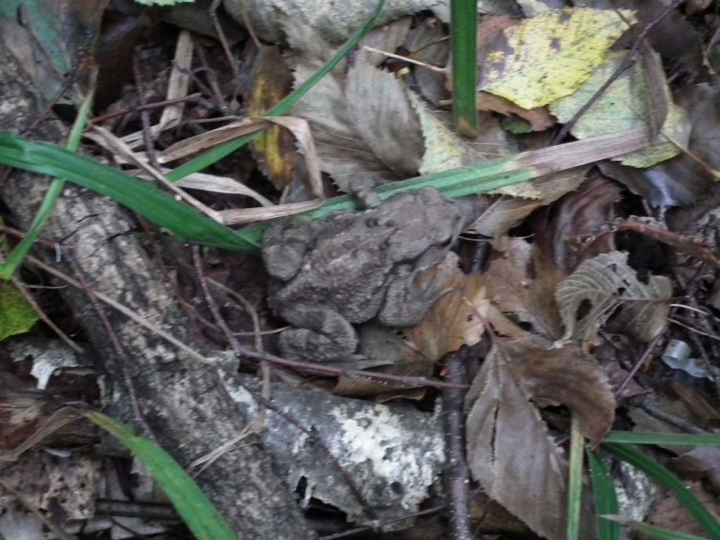 DSCF3490.JPG