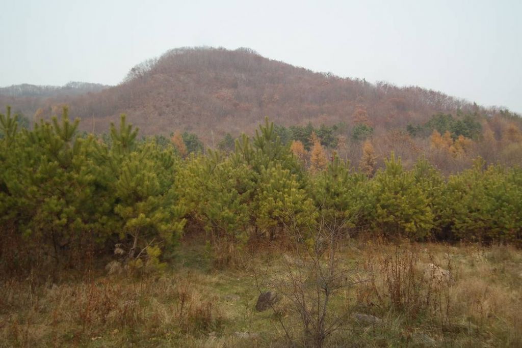 DSCF9827.JPG