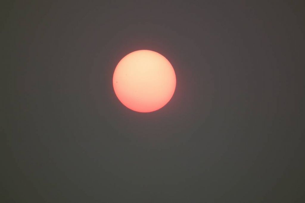 DSCF9848.JPG