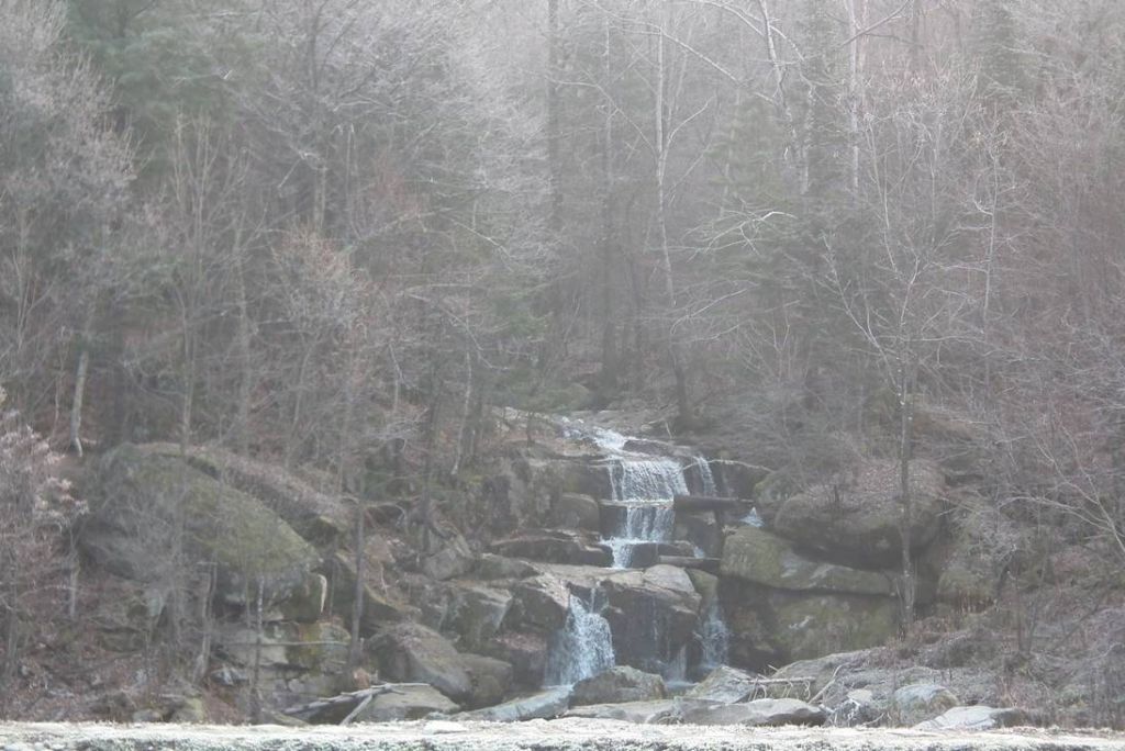 DSCF0708.JPG