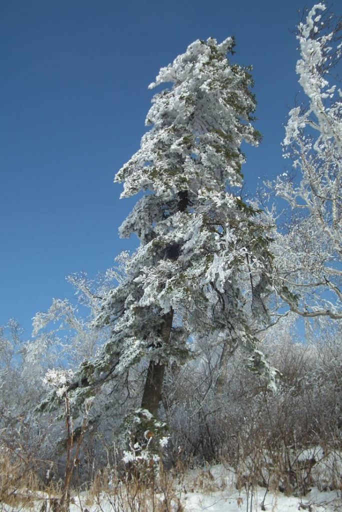 DSCF1014.JPG