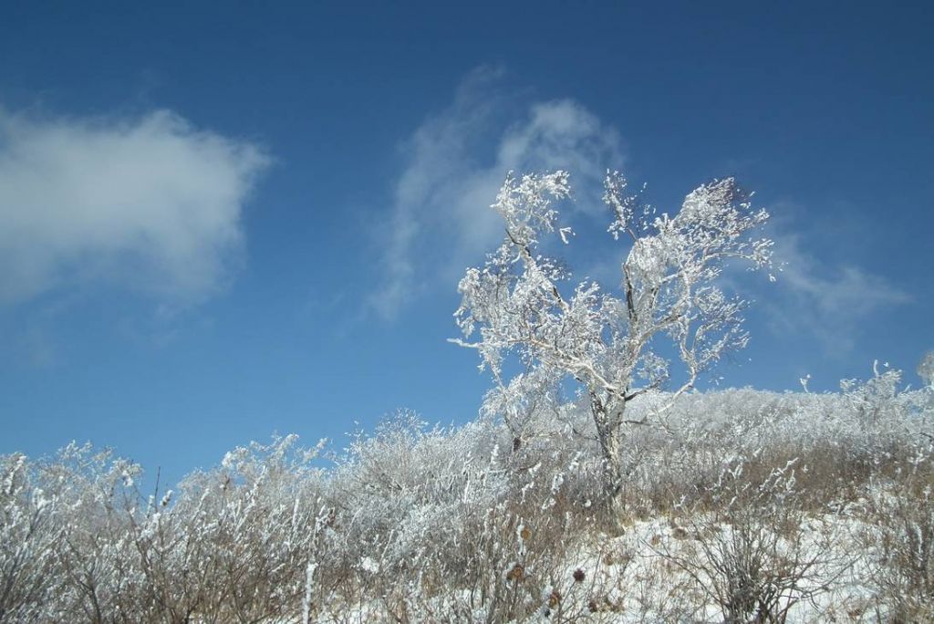 DSCF1032.JPG