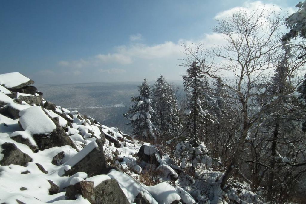 DSCF1074.JPG