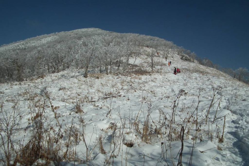 DSCF1083.JPG