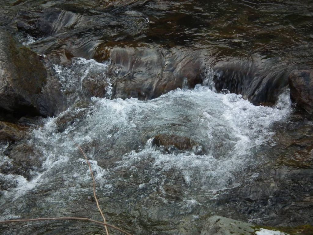 DSCF1154.JPG