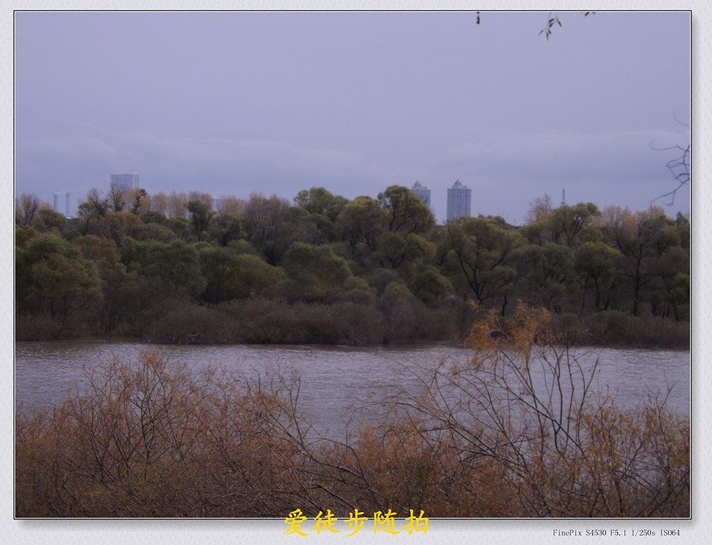 DSCF6548.JPG