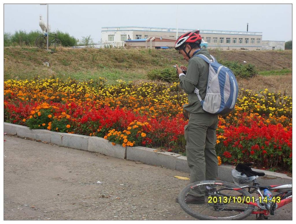 SDC12604.jpg