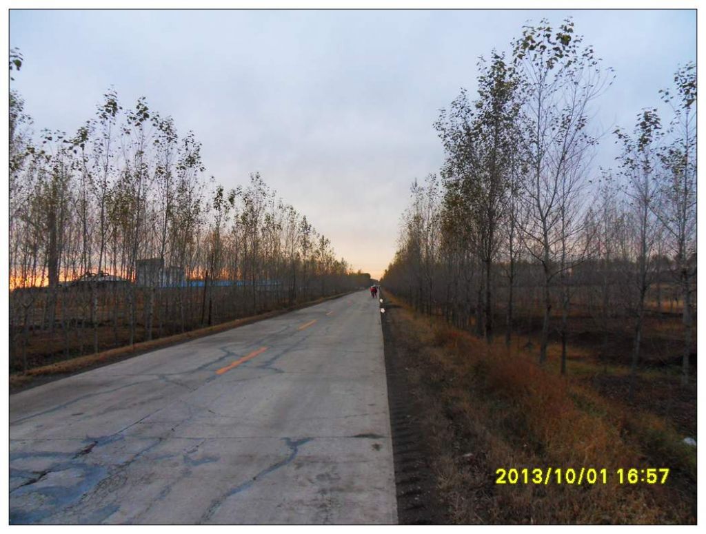 SDC12627.jpg
