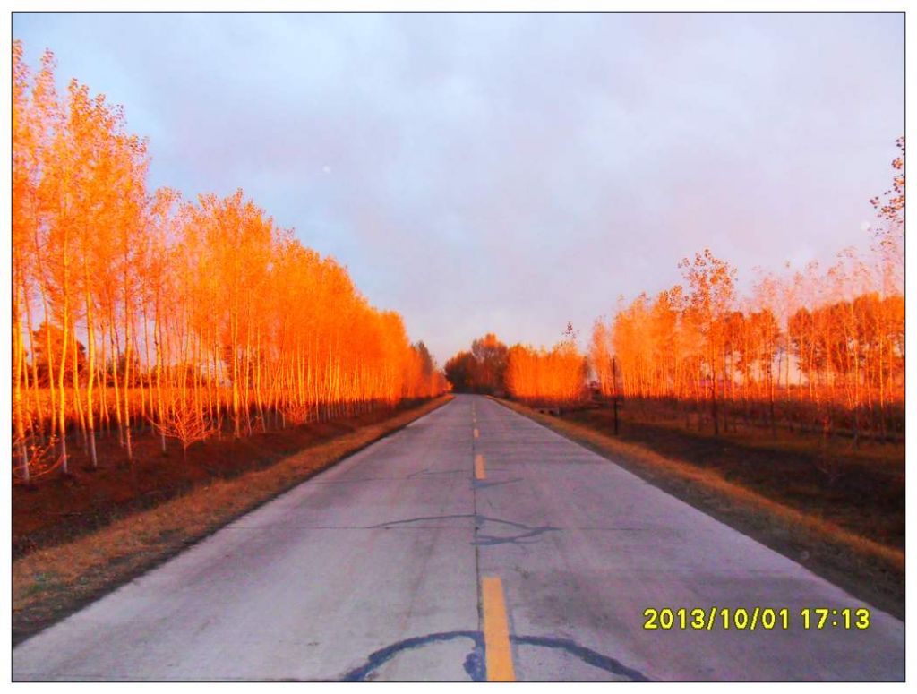 SDC12636.jpg