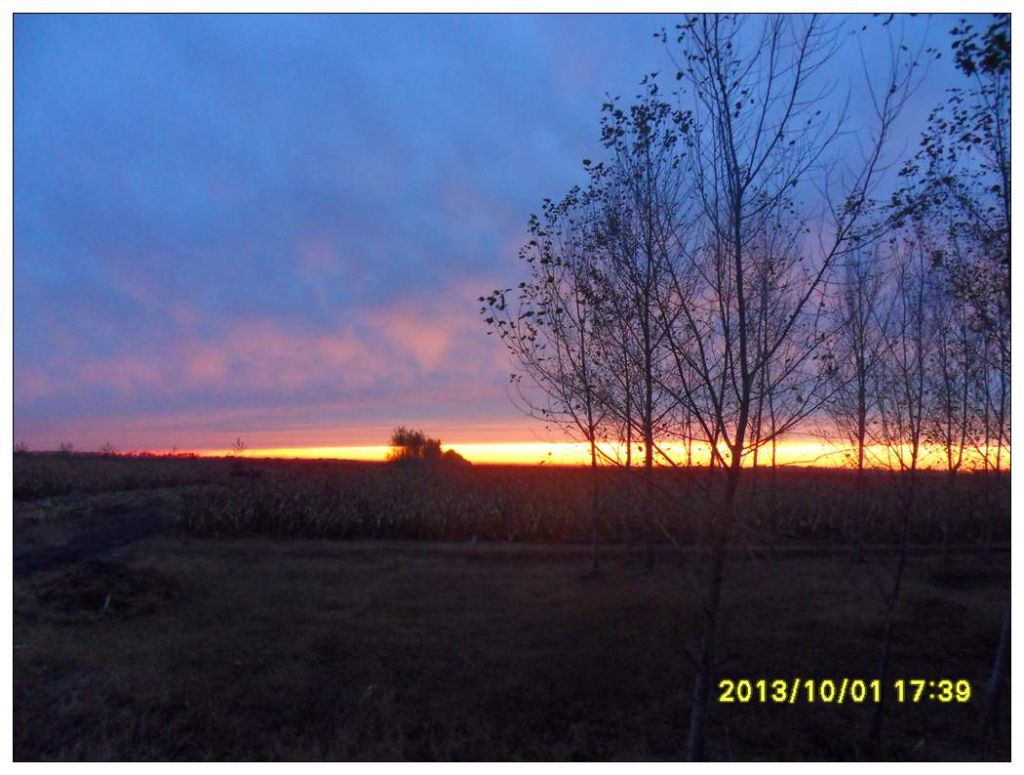 SDC12659.jpg
