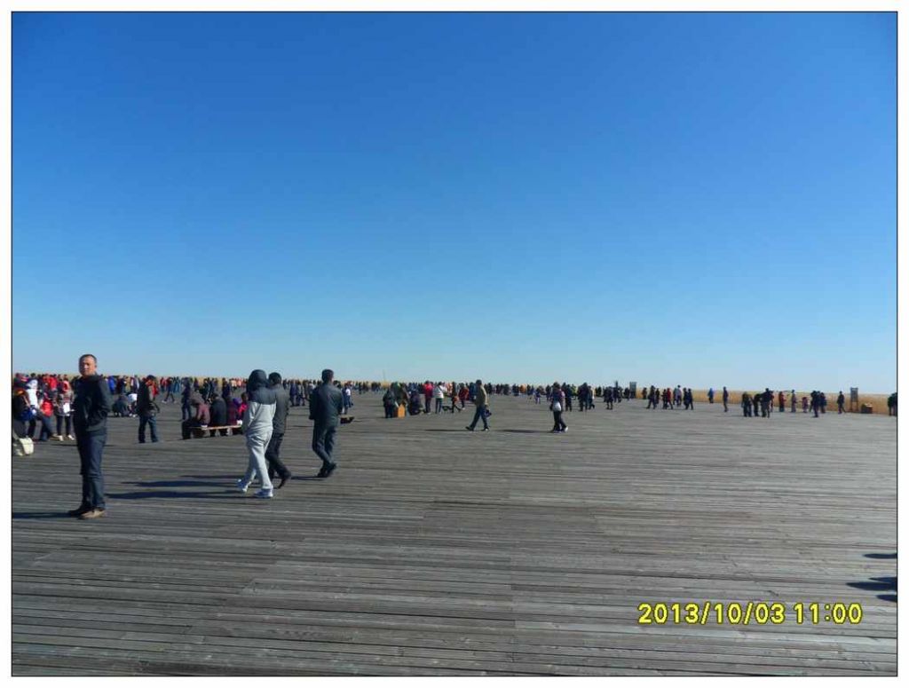 SDC12857.jpg