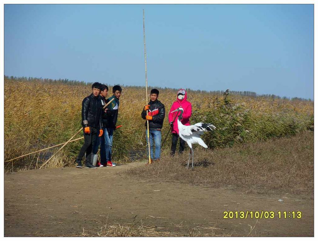 SDC12908.jpg
