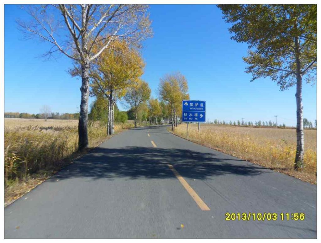 SDC13040.jpg