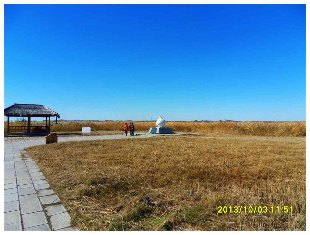 SDC13029.jpg