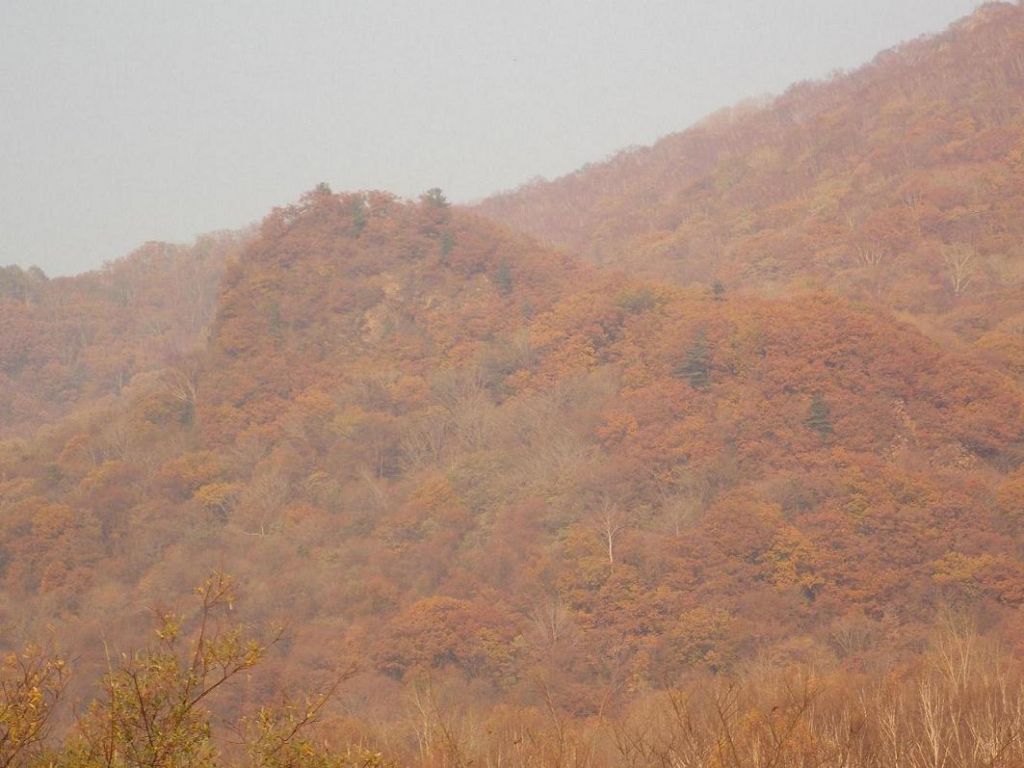 DSCN0598.JPG