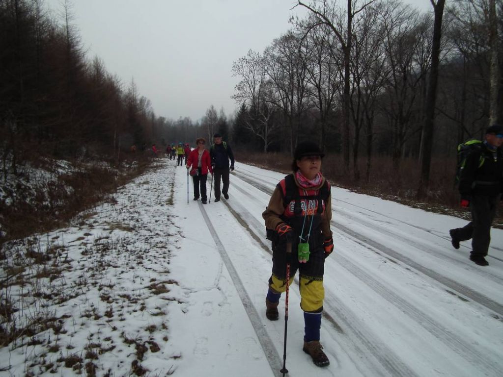 DSCF9475.JPG