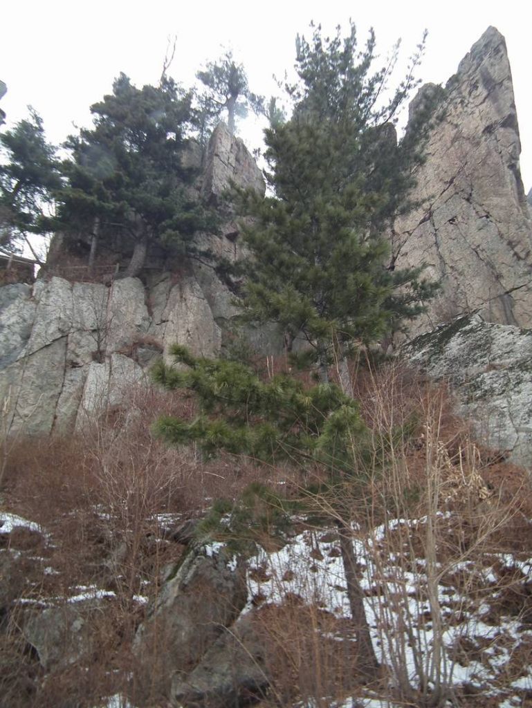 DSCF9637.JPG