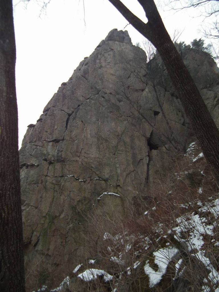 DSCF9655.JPG