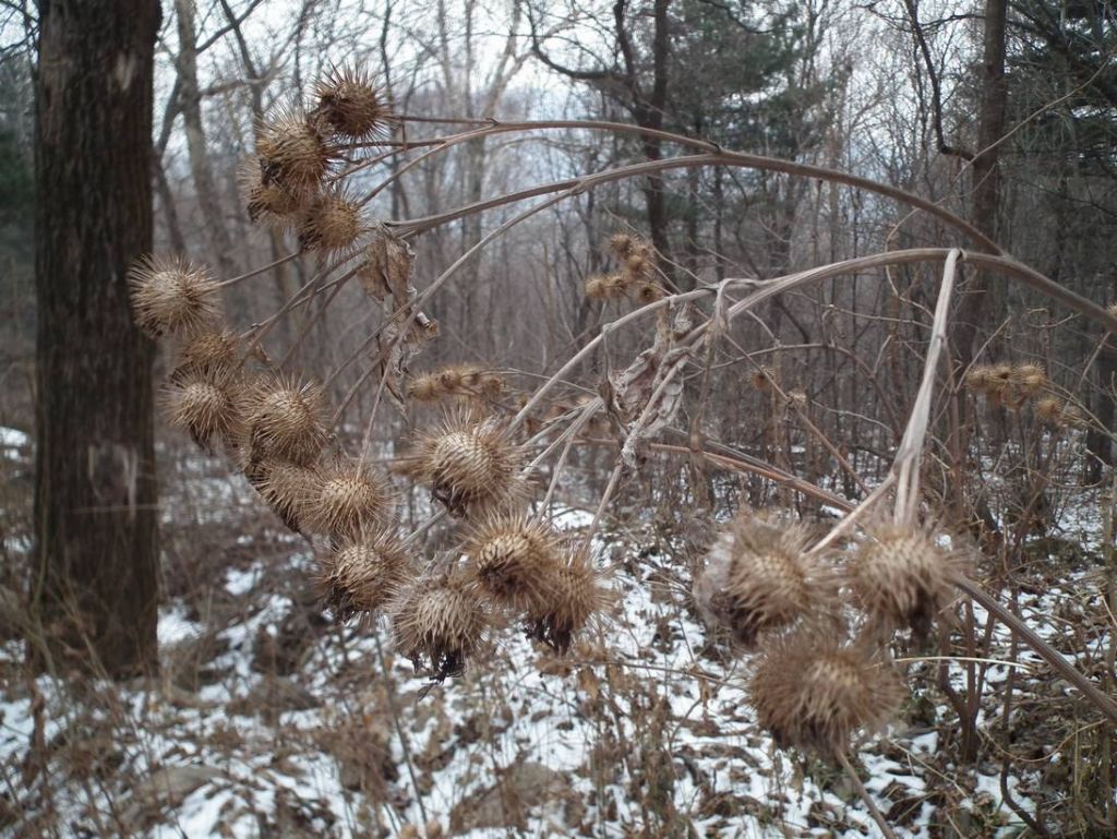 DSCF9727.JPG
