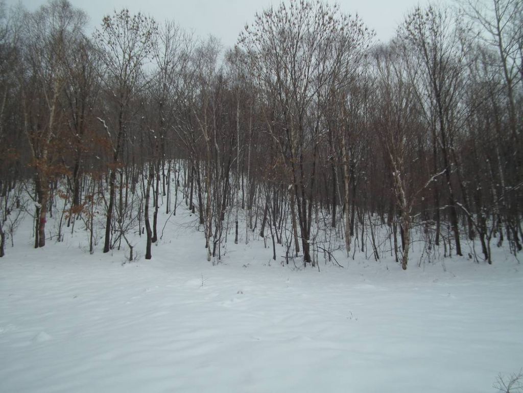 DSCF1054.JPG