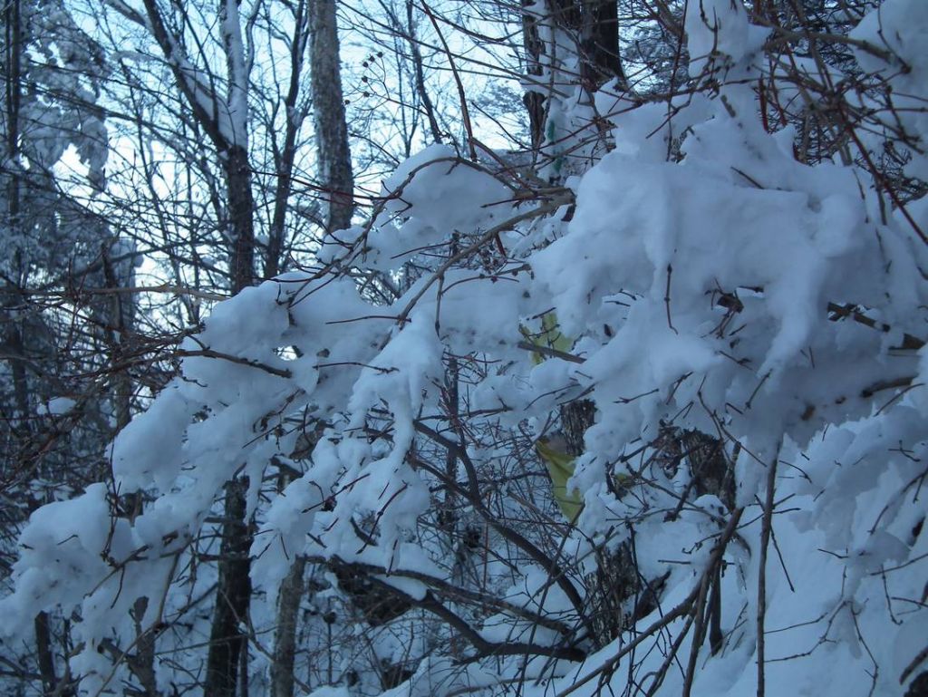 DSCF1204.JPG